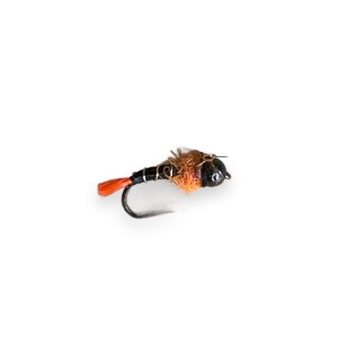Retarded Orange Tag Nymph