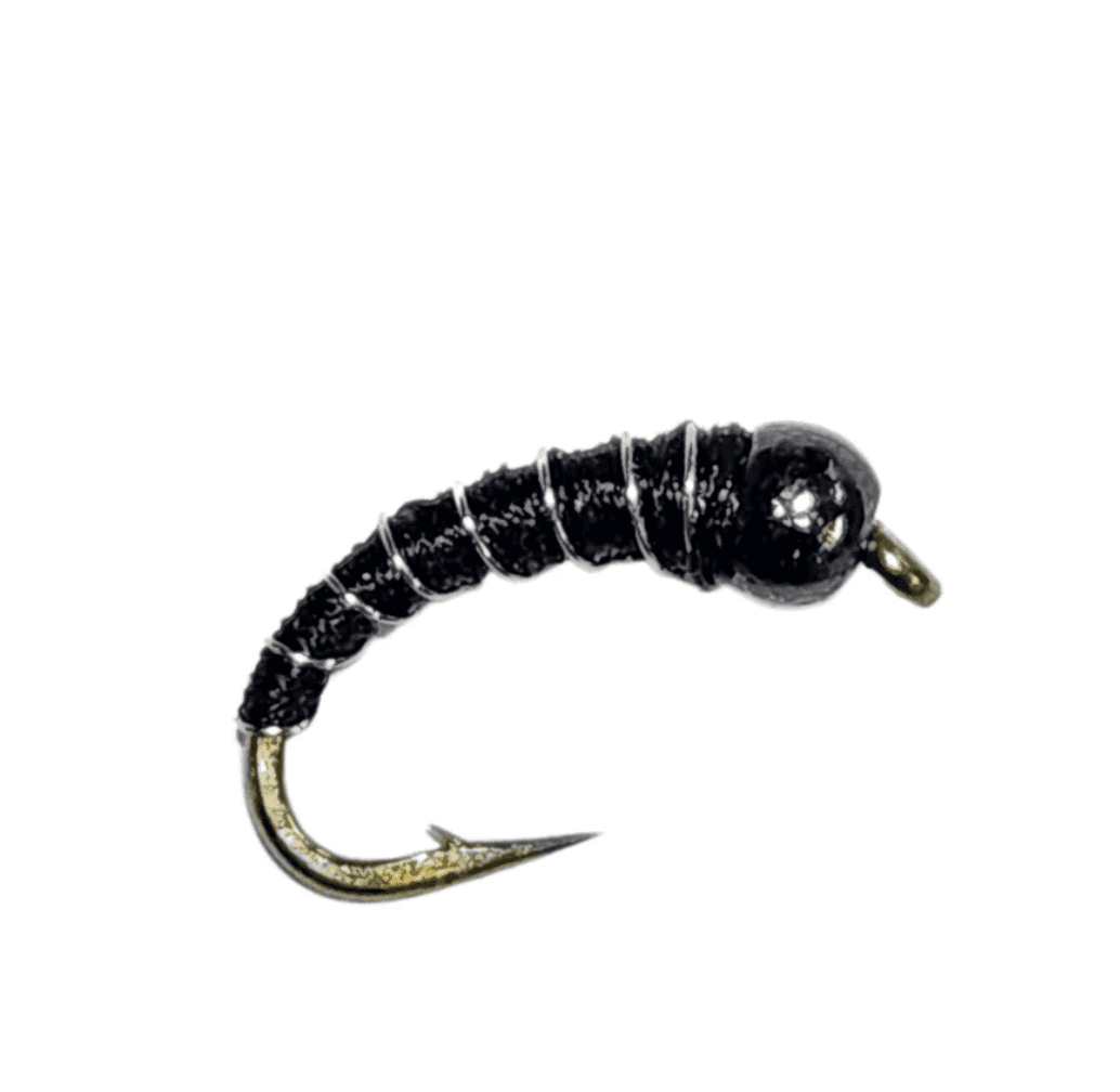 midnight-pupa-midge